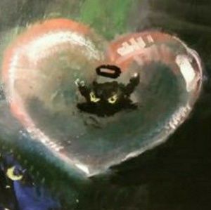 Meet your Posher, Kyleigh